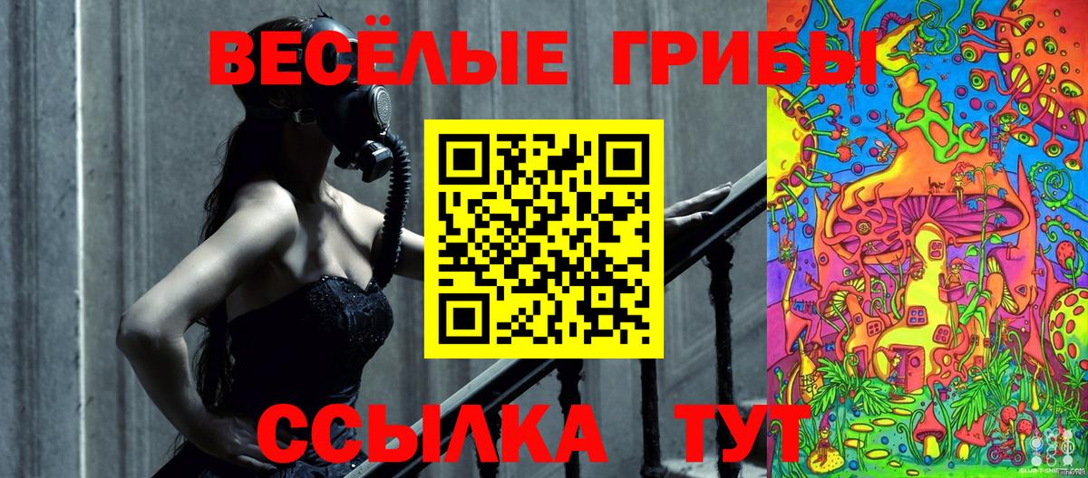 Псилоцибиновые грибы мухоморы  Вход с VPN  Гатчина 