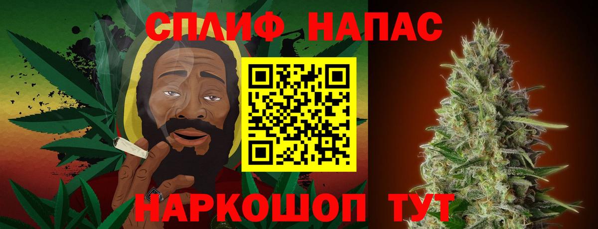 Канабис конопля Гатчина